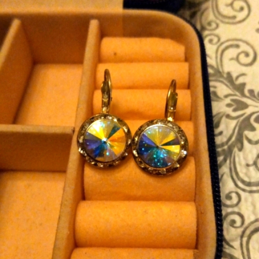 Iridescent & Silver earrings